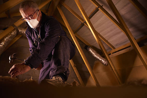 Best Residential Insulation in Amberley, OH